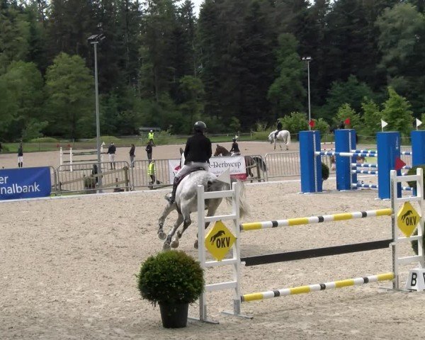 Reitturnier Meilen 2024