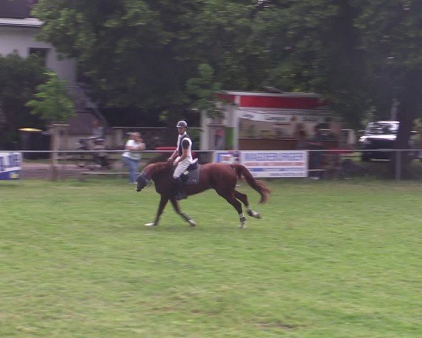 Reitturnier Königsborn 2024