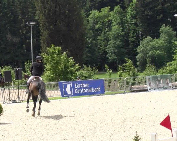 Reitturnier Meilen 2024