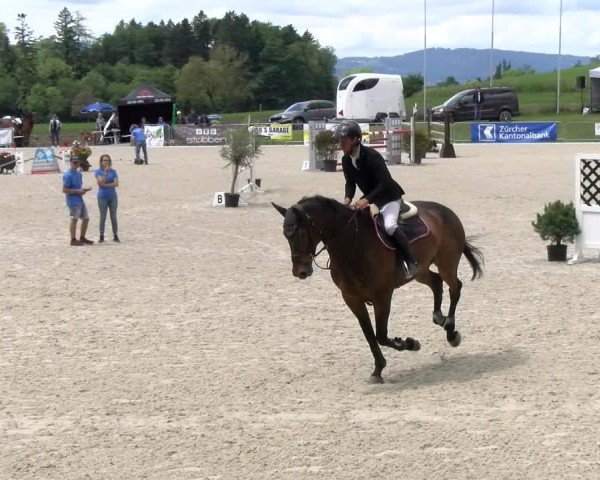 Reitturnier Meilen 2024