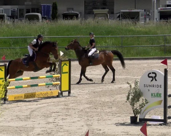 Reitturnier Werdenberg 2024
