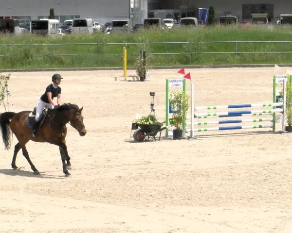 Reitturnier Werdenberg 2024
