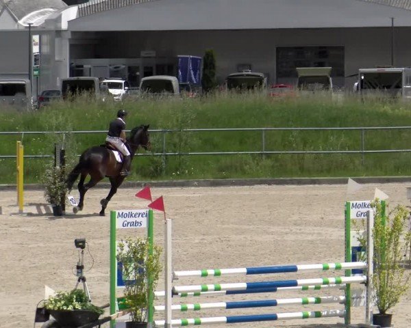 Reitturnier Werdenberg 2024