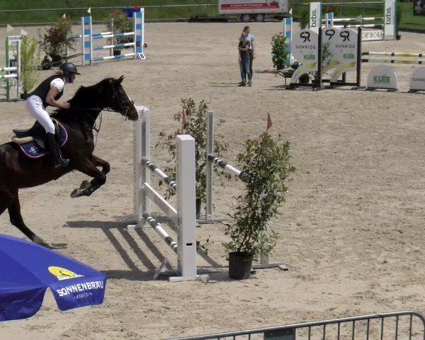 Reitturnier Werdenberg 2024