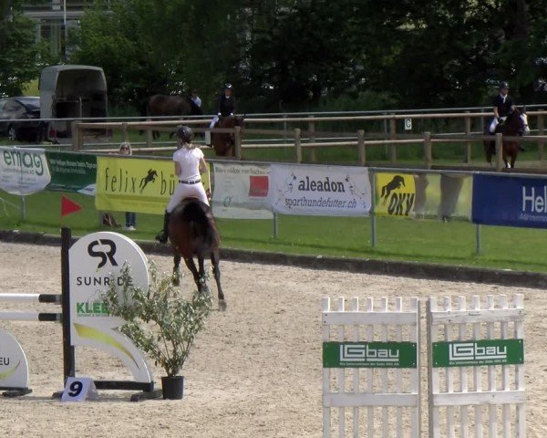 Reitturnier Werdenberg 2024