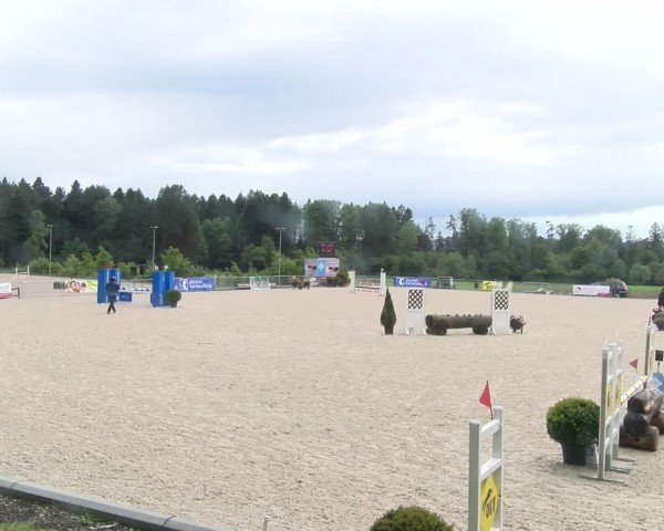 Reitturnier Meilen 2024