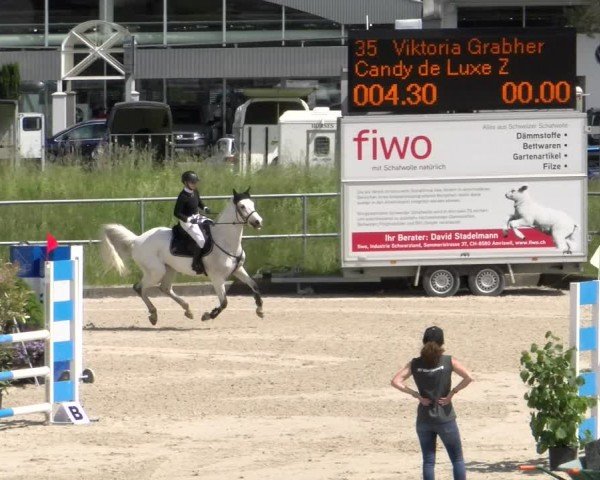 Reitturnier Werdenberg 2024