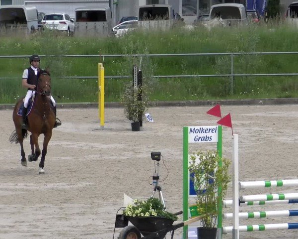 Reitturnier Werdenberg 2024