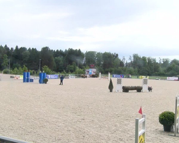 Reitturnier Meilen 2024