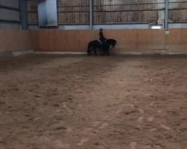 Video of Lilly Deluxe