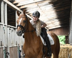 horse Floris Rouge F (Hanoverian, 2021, from Falihandro)