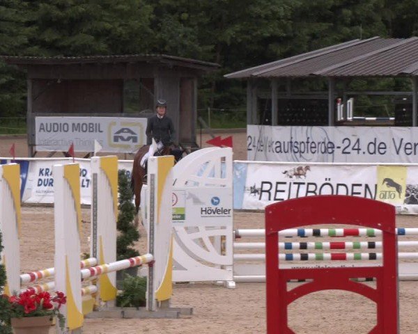 Reitturnier Ranshofen - Braunau am Inn 2024