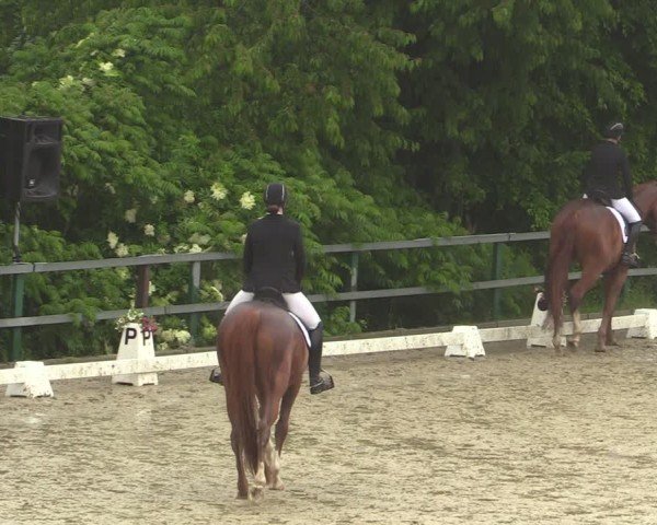 Reitturnier Letmathe 2024