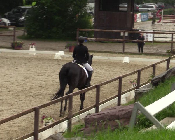Reitturnier Letmathe 2024