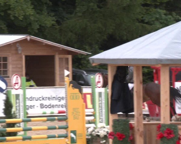 Reitturnier Ranshofen - Braunau am Inn 2024