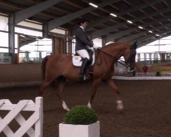 Reitturnier Hof Bettenrode 2012