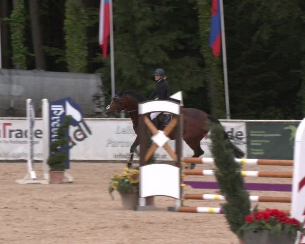 Reitturnier Ranshofen - Braunau am Inn 2024