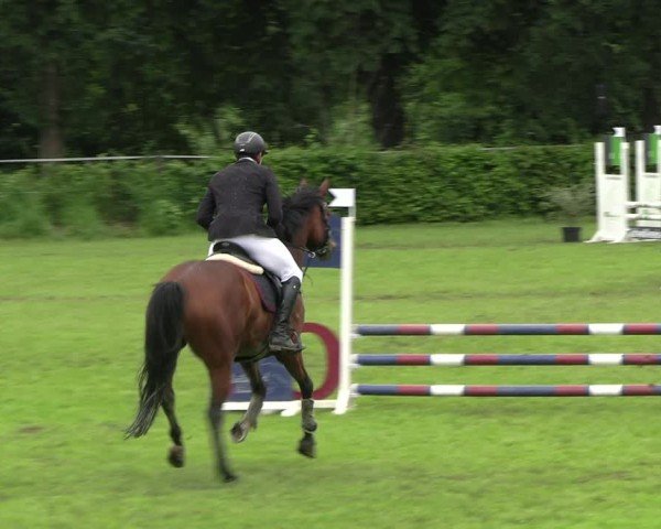 Reitturnier Jülich 2024
