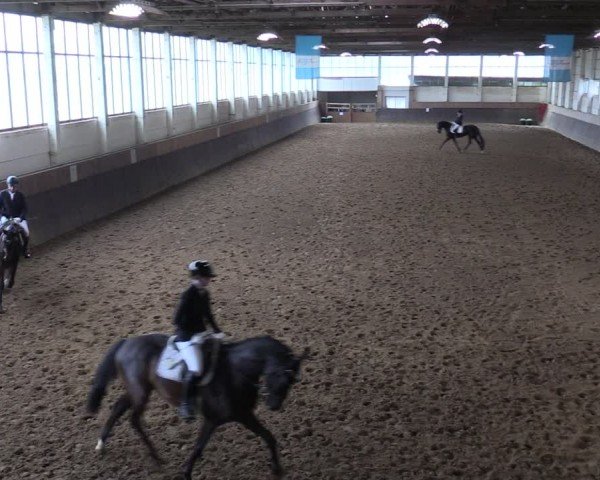 Reitturnier Kakerbeck 2024