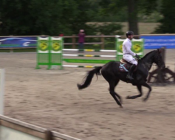 Reitturnier Alvern 2024