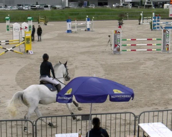 Reitturnier Werdenberg 2024