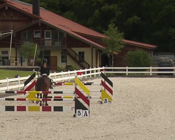 Reitturnier Gut Bohmerhof-Wackersberg/Obb. 2024