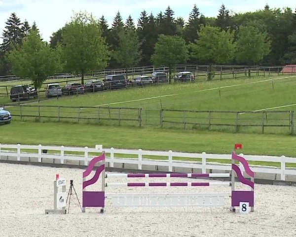 Reitturnier Gut Bohmerhof-Wackersberg/Obb. 2024