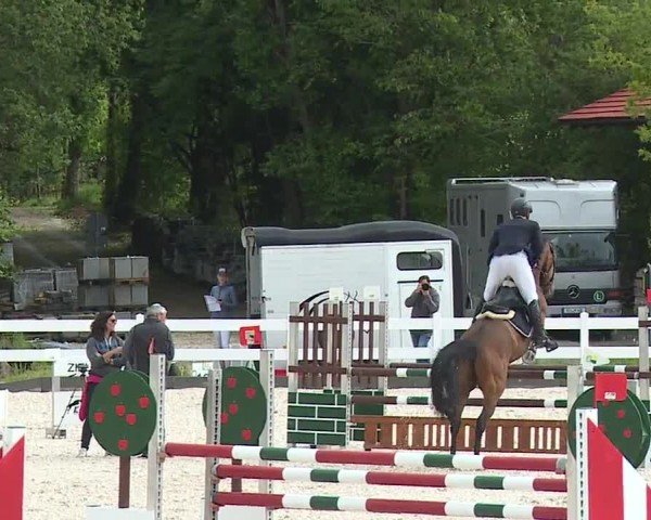 Reitturnier Gut Bohmerhof-Wackersberg/Obb. 2024