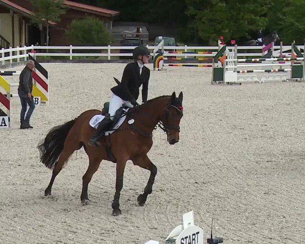 Reitturnier Gut Bohmerhof-Wackersberg/Obb. 2024