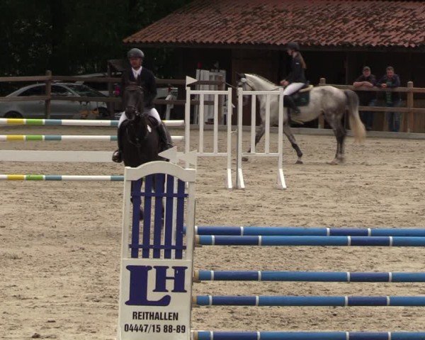 Reitturnier Alvern 2024