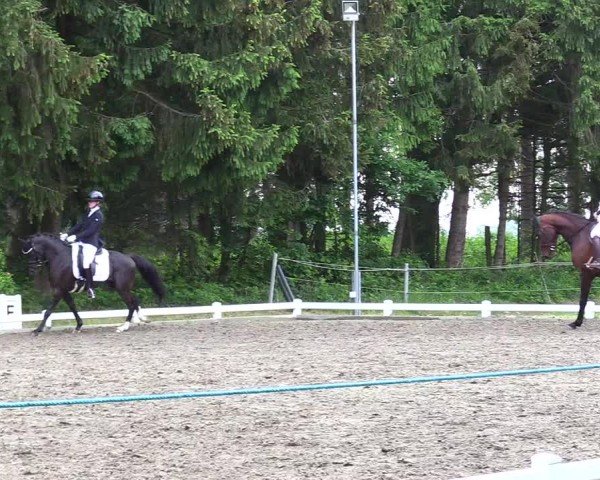 Reitturnier Kellinghusen  2024