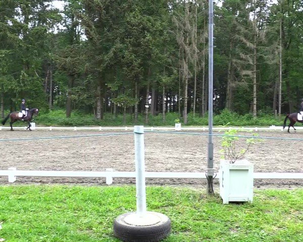 Reitturnier Kellinghusen  2024