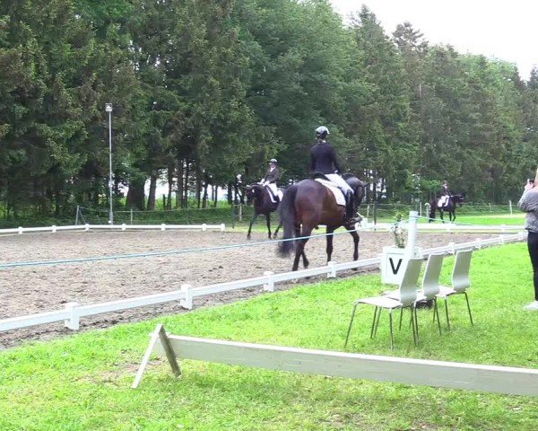 Reitturnier Kellinghusen  2024