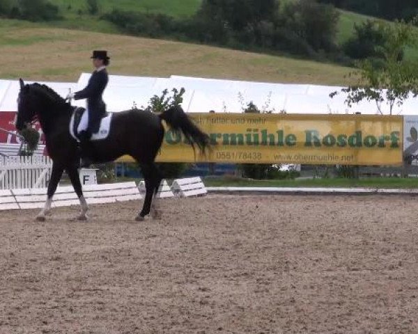 Reitturnier Hof Bettenrode 2012