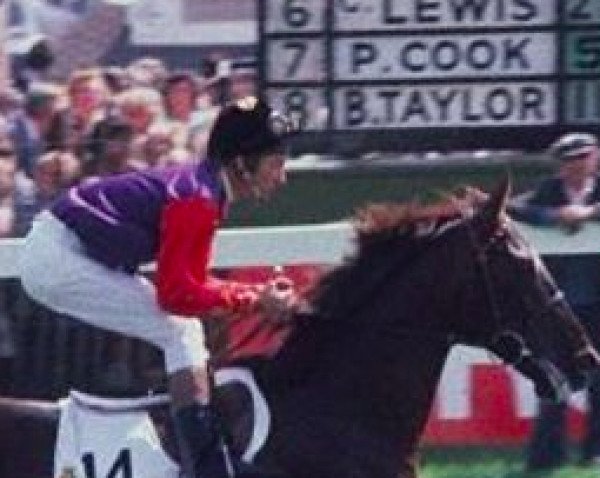 Deckhengst Milford xx (Englisches Vollblut, 1976, von Mill Reef xx)
