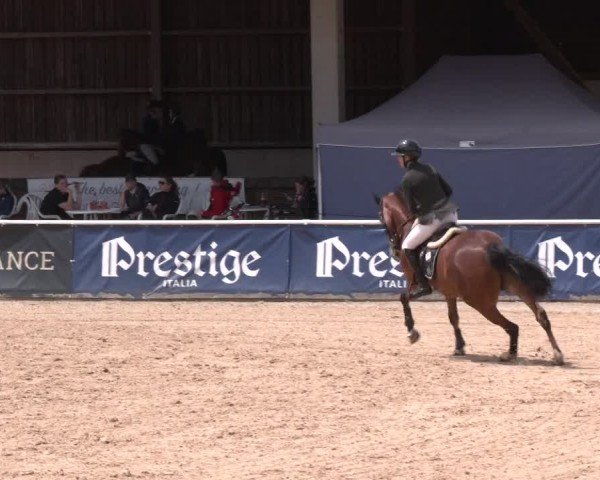 Reitturnier Ranshofen - Braunau am Inn 2024