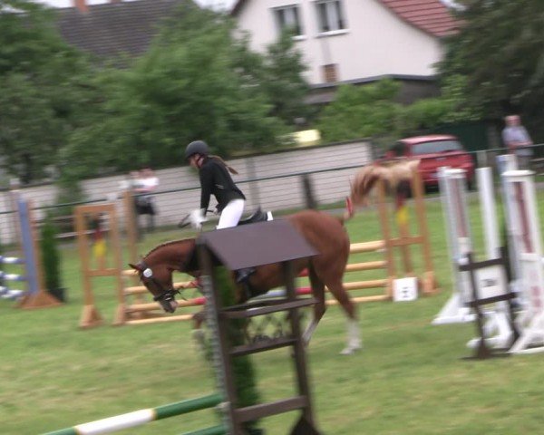 Reitturnier Buckow bei Beeskow (LOS) 2024