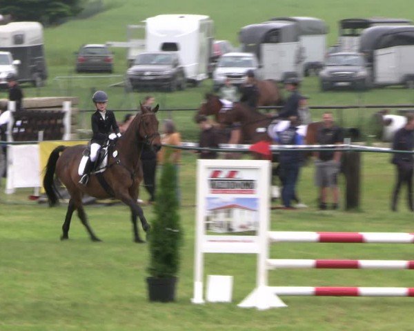 Reitturnier Buckow bei Beeskow (LOS) 2024