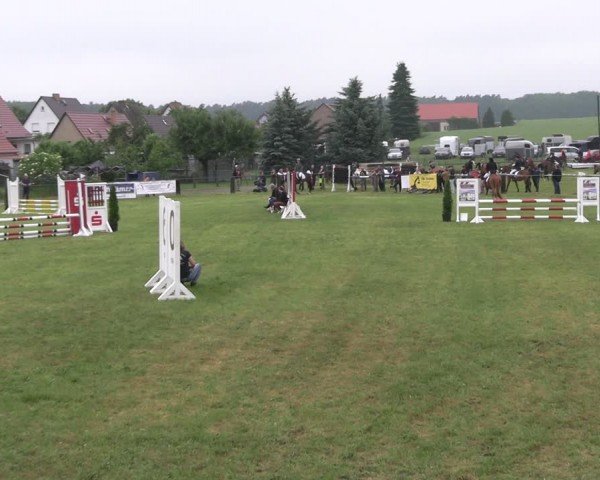 Reitturnier Buckow bei Beeskow (LOS) 2024
