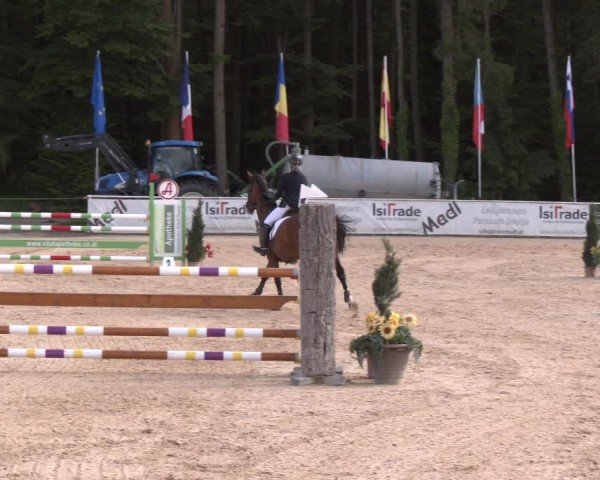 Reitturnier Ranshofen - Braunau am Inn 2024