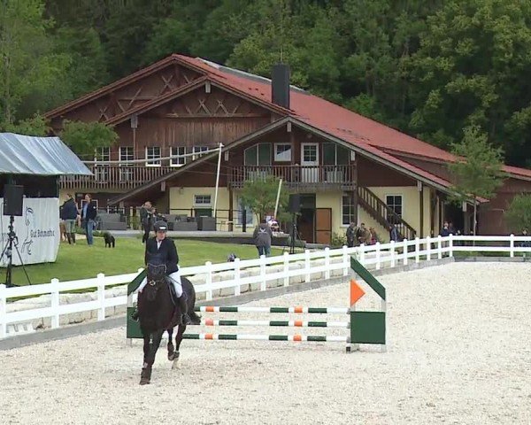 Reitturnier Gut Bohmerhof-Wackersberg/Obb. 2024