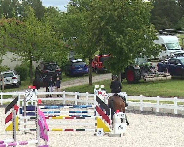 Reitturnier Gut Bohmerhof-Wackersberg/Obb. 2024