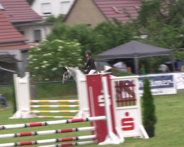 Reitturnier Buckow bei Beeskow (LOS) 2024
