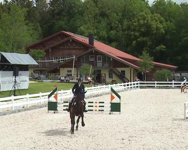 Reitturnier Gut Bohmerhof-Wackersberg/Obb. 2024