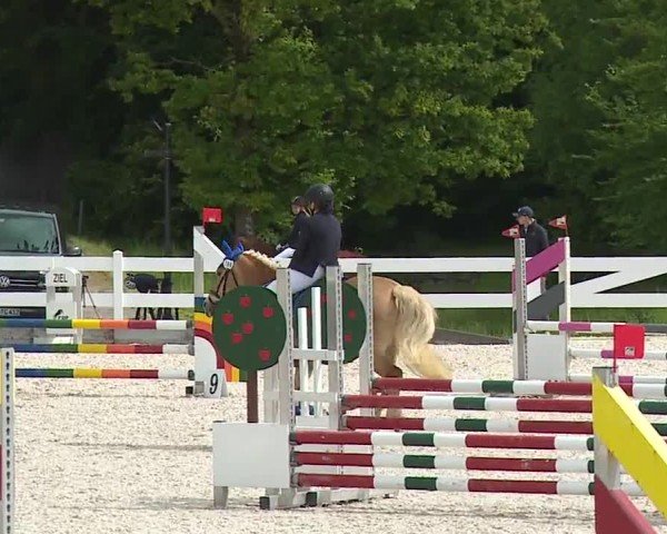Reitturnier Gut Bohmerhof-Wackersberg/Obb. 2024
