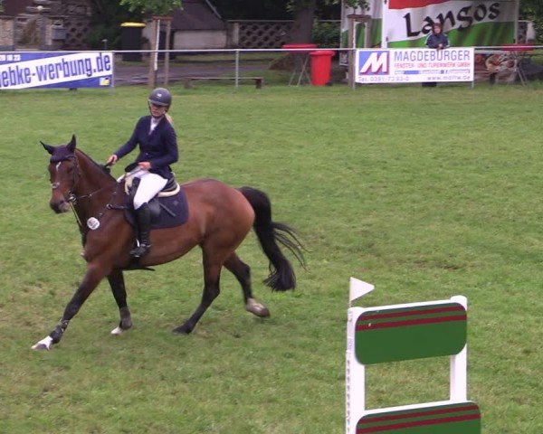 Reitturnier Königsborn 2024