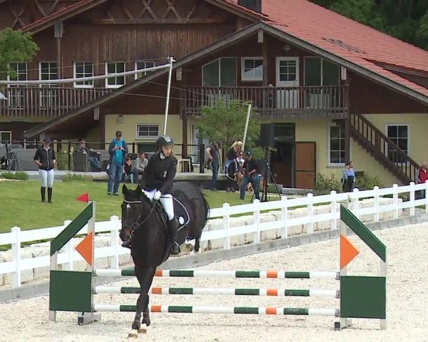 Reitturnier Gut Bohmerhof-Wackersberg/Obb. 2024