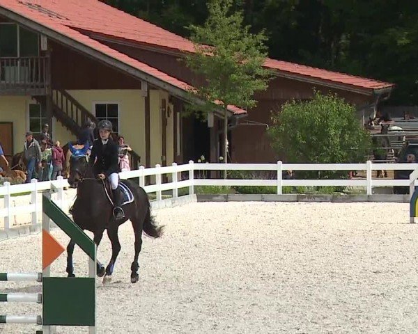 Reitturnier Gut Bohmerhof-Wackersberg/Obb. 2024
