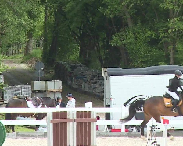 Reitturnier Gut Bohmerhof-Wackersberg/Obb. 2024