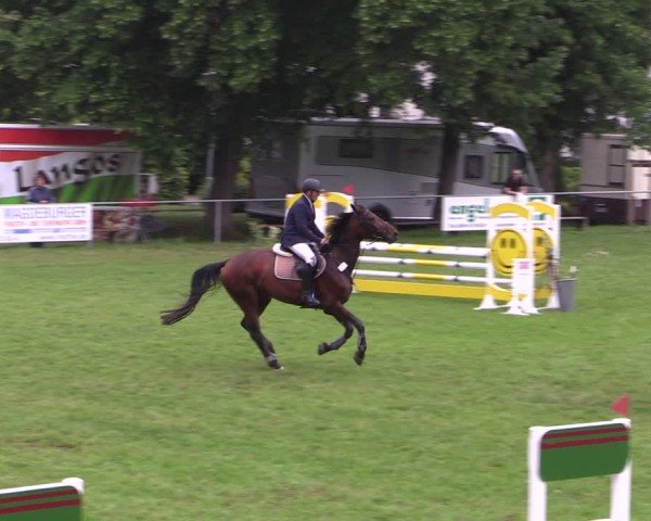 Reitturnier Königsborn 2024